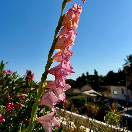 アパート Mon Reve Ensoleille Im Ortskern *