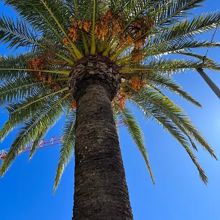 Mon Reve Ensoleille Im Ortskern アパート