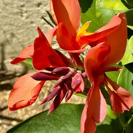 Mon Reve Ensoleille Im Ortskern