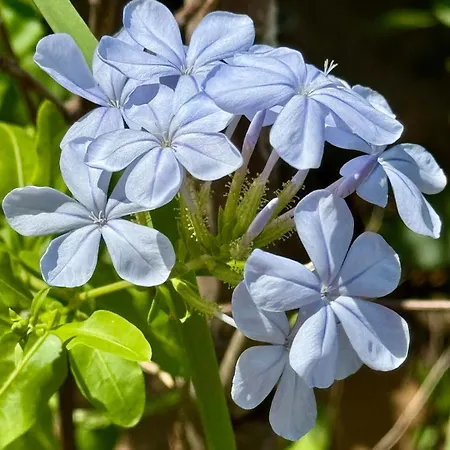 Mon Reve Ensoleille Im Ortskern